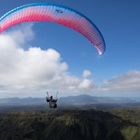 Ozone - Swift 5 Paragliding Wings